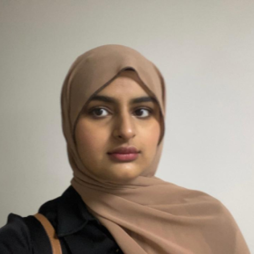 Mahnoor Muhammad Aamir